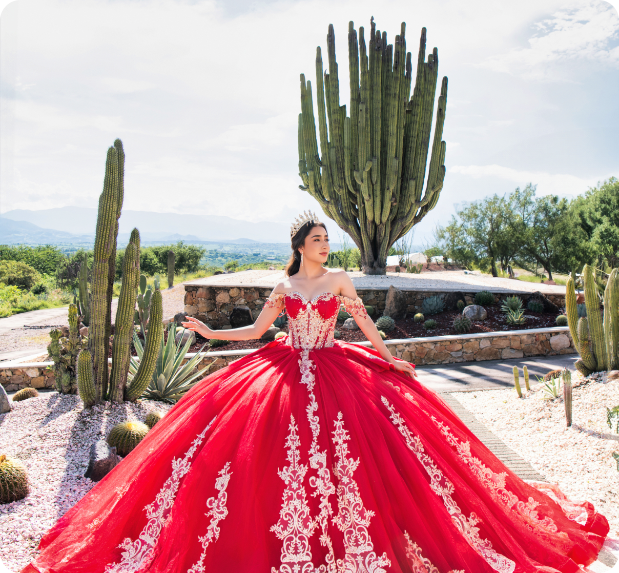 Imagen de la galeria