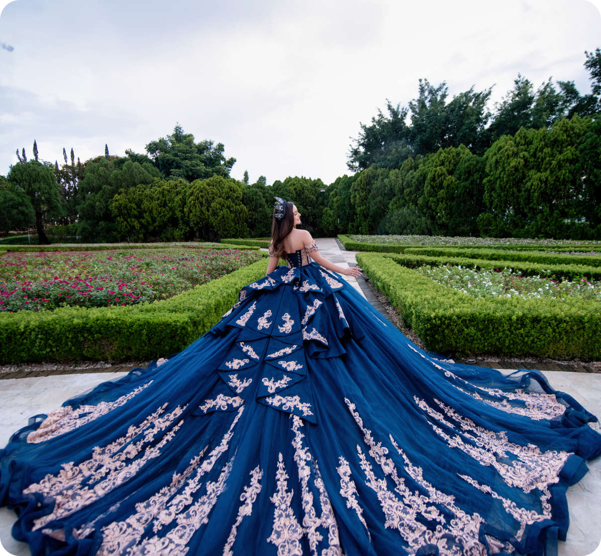 Imagen de la galeria