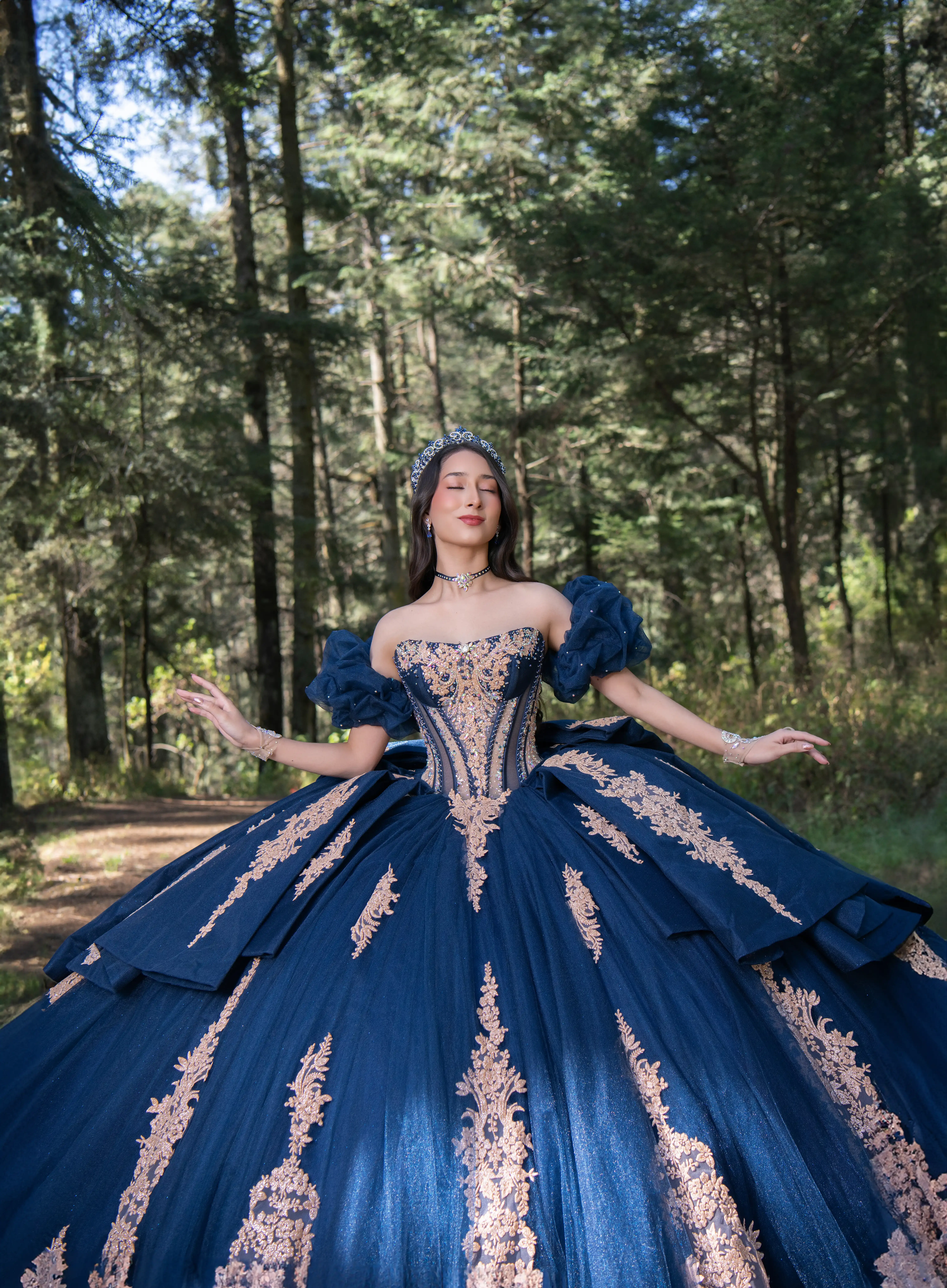 Vestidos de quinceañera azul marino