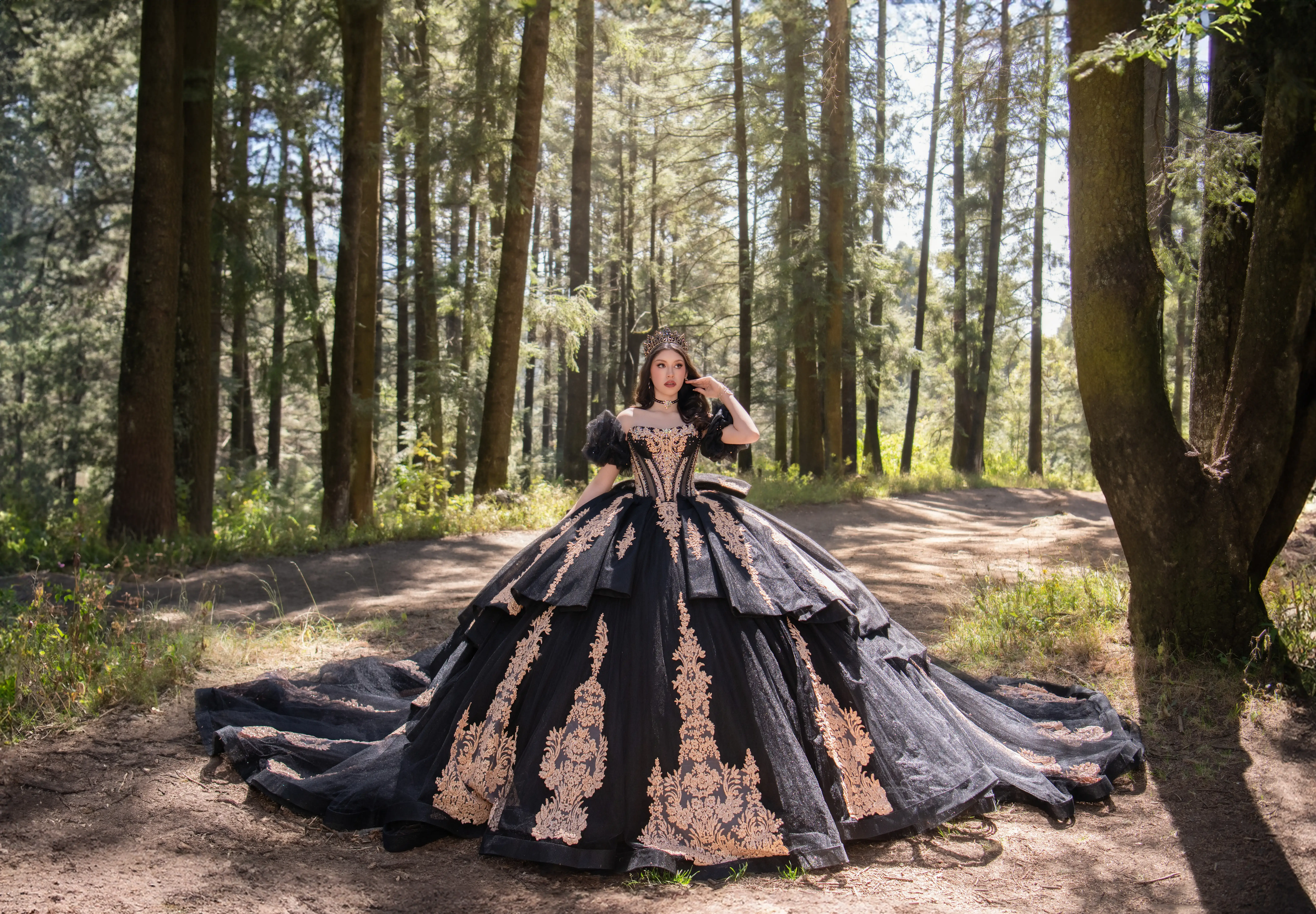 Vestido de quinceañera