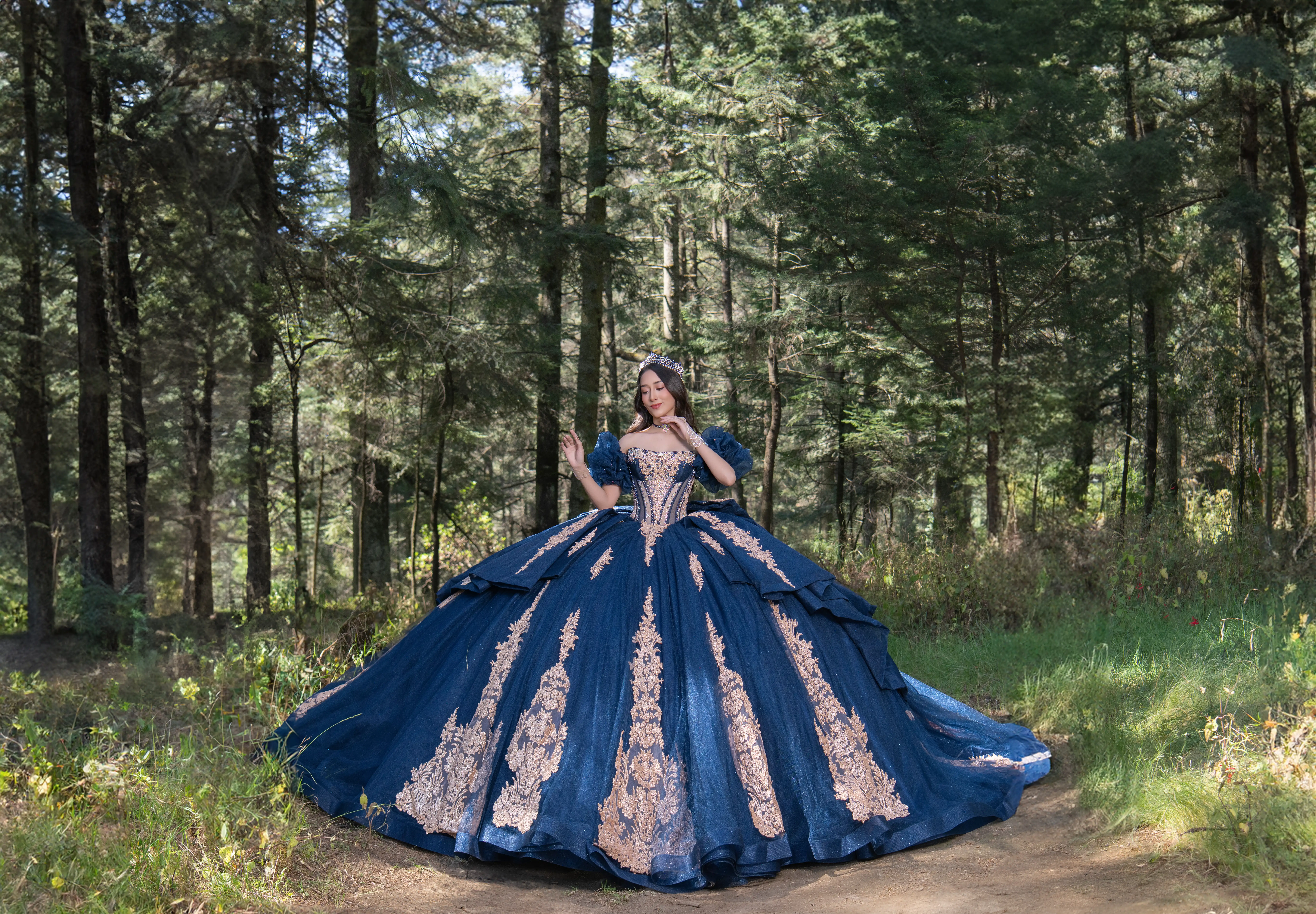 Vestido de quinceañera